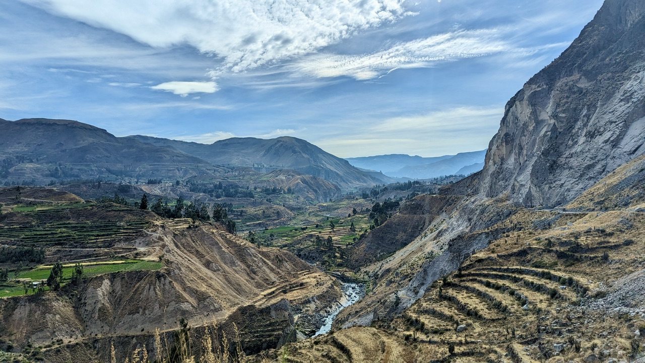 #27 Colca & Co.