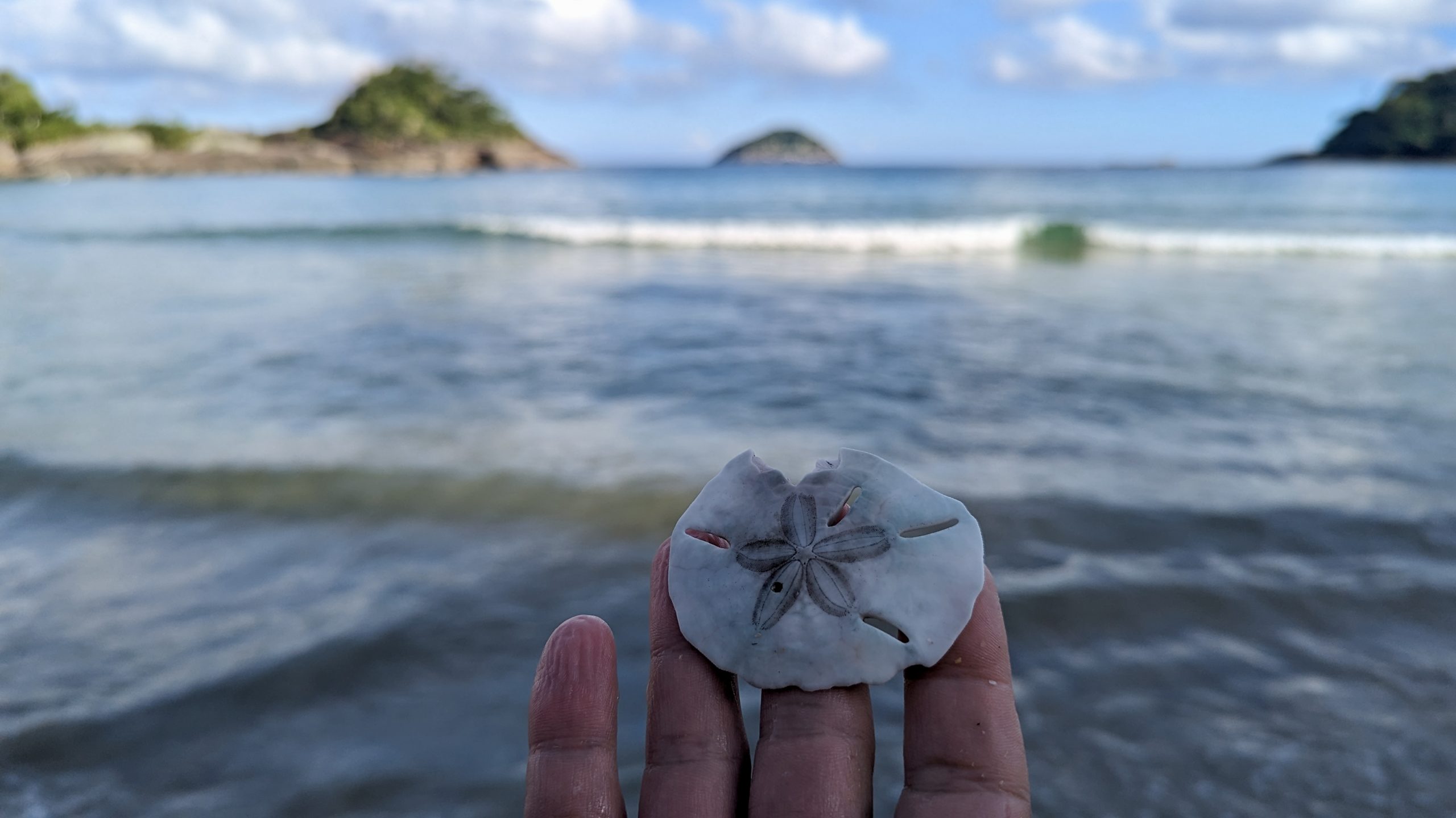 #35 Brazilian Beach Time