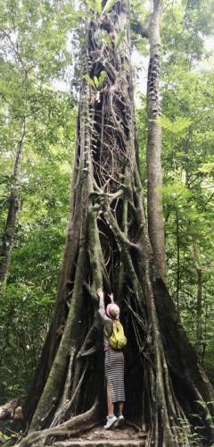 20c3f399-6911-490b-8269-0ea885a8621b