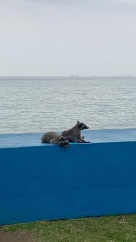 IMG_5132