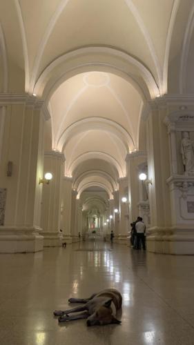 IMG_9345