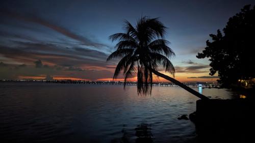 PXL_20230906_003415452