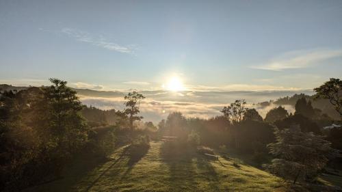 PXL_20231122_111051327