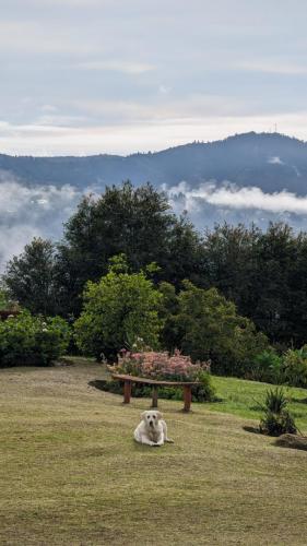 PXL_20231125_124428443