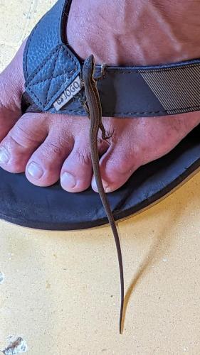 PXL_20231204_163139334