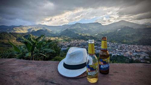 PXL_20231204_214102603