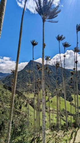 PXL_20231209_171935934