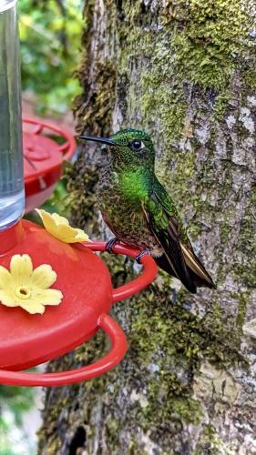 PXL_20231209_200519429