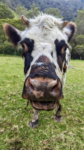 PXL_20231209_220509013