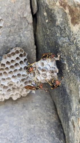 PXL_20231225_164359738