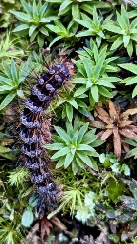 PXL_20231229_152301337