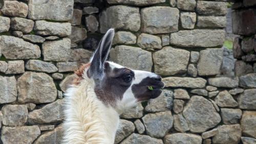 PXL_20231229_171929262