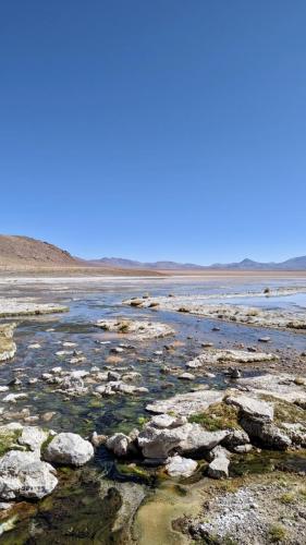 PXL_20240106_131056616