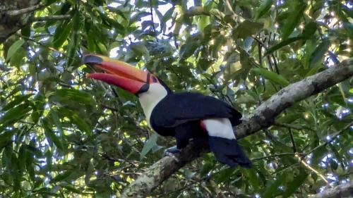 PXL_20240116_204807262