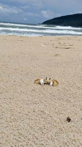 PXL_20240120_175031911