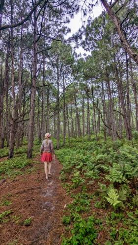 PXL_20240120_181336318