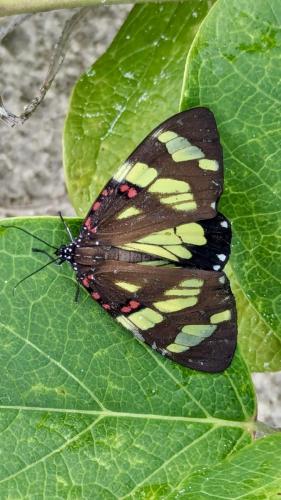 PXL_20240120_183155716