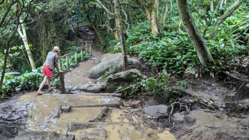 PXL_20240120_192752764