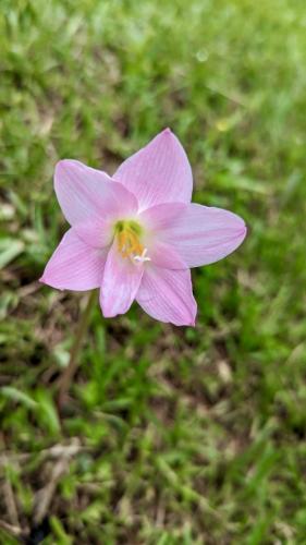 PXL_20240122_142633807