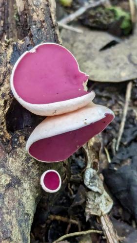 PXL_20240122_144423371