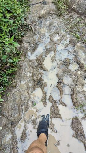 PXL_20240122_144713310