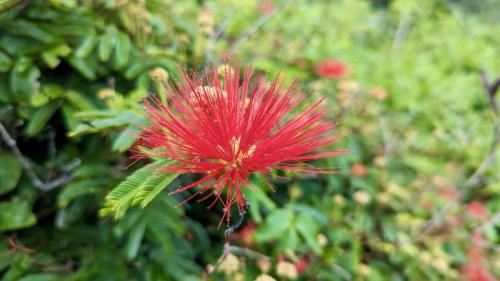 PXL_20240122_162104539