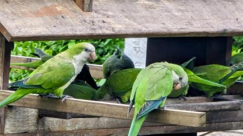 PXL_20240123_173737989