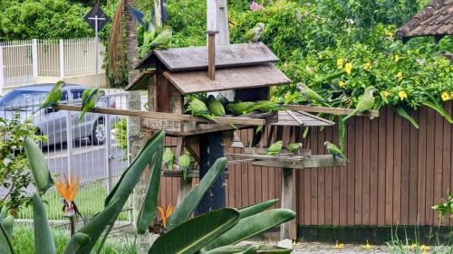 PXL_20240123_173757461