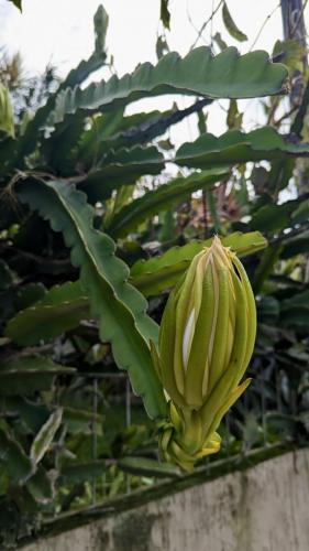 PXL_20240123_180340695