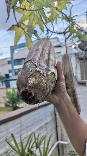 PXL_20240123_214545213