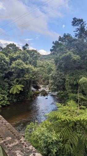 PXL_20240129_194009064