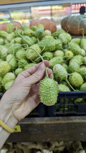 PXL_20240131_181915897