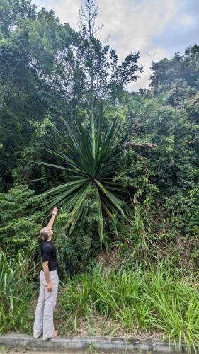 PXL_20240202_155523252