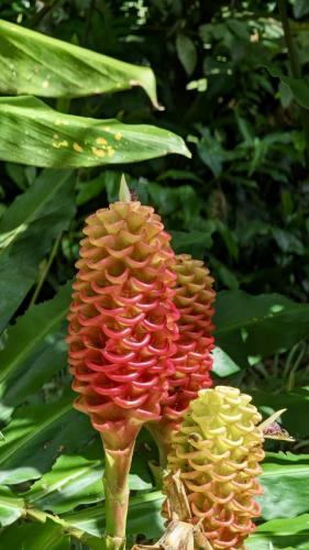 PXL_20240206_175036874