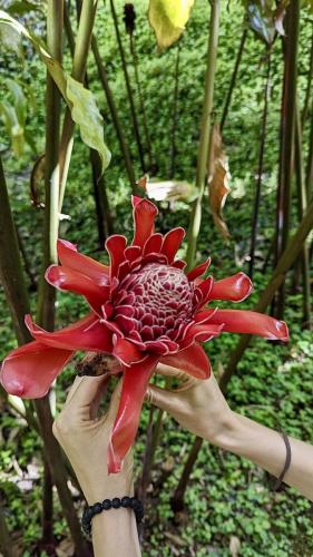 PXL_20240206_181813867