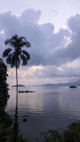 PXL_20240207_214100407