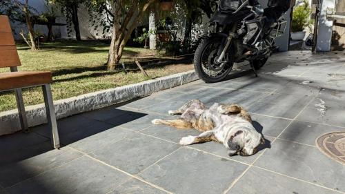 PXL_20240212_110518445