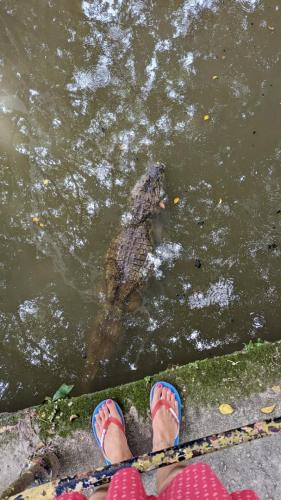 PXL_20240220_144341116