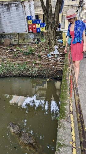 PXL_20240220_144451808