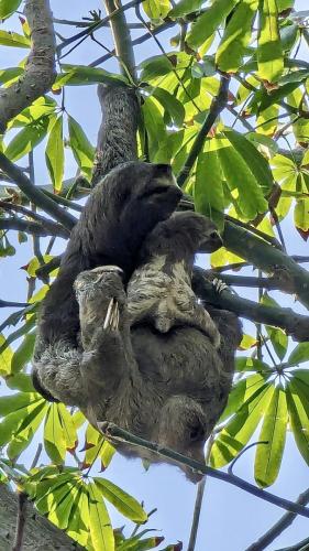 PXL_20240303_211439329~2