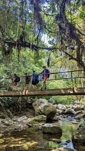 PXL_20240309_145515426