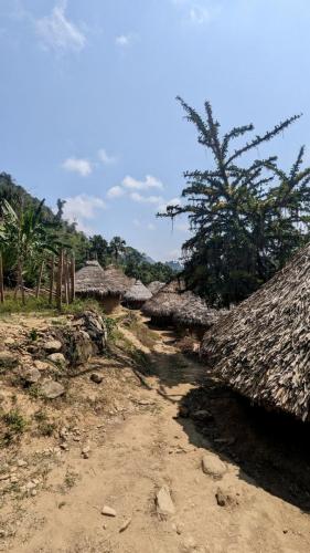 PXL_20240309_153021517