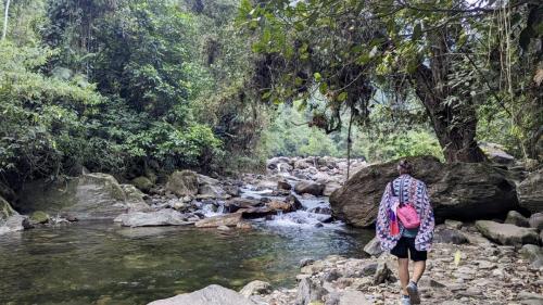 PXL_20240310_113324531