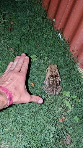 PXL_20240311_233048009