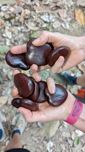 PXL_20240312_131554763