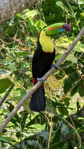 PXL_20240314_140620719