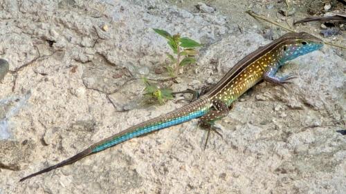 PXL_20240314_140850805