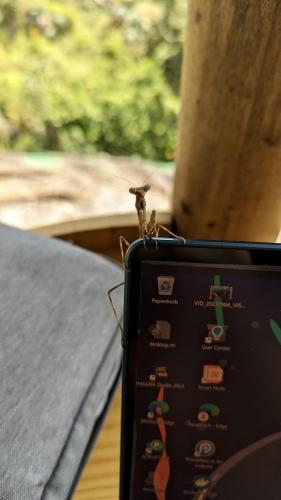 PXL_20240315_142238947