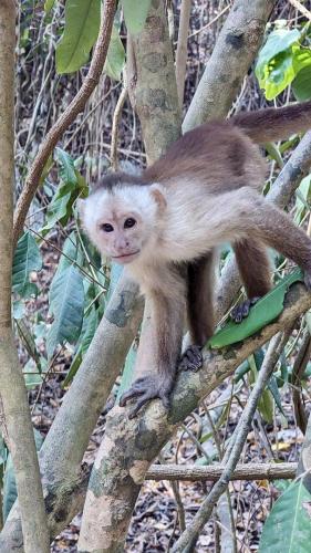 PXL_20240320_133920655