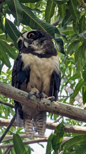 PXL_20240324_185302543